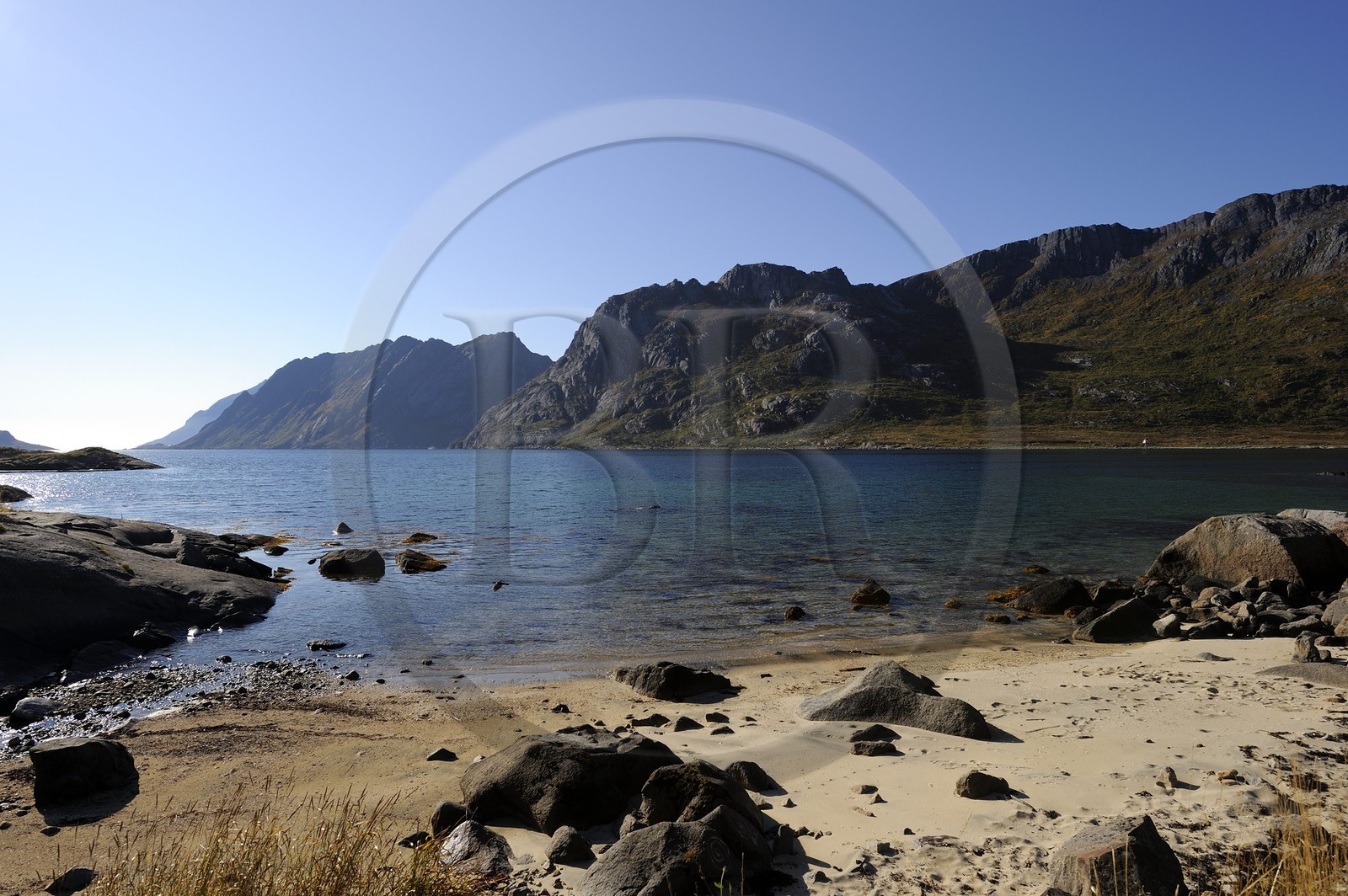 Norvège, Nordland, Iles Lofoten, Ile de Flakstadoy, petit bout de plage de sable blanc dans le Skjelfjorden