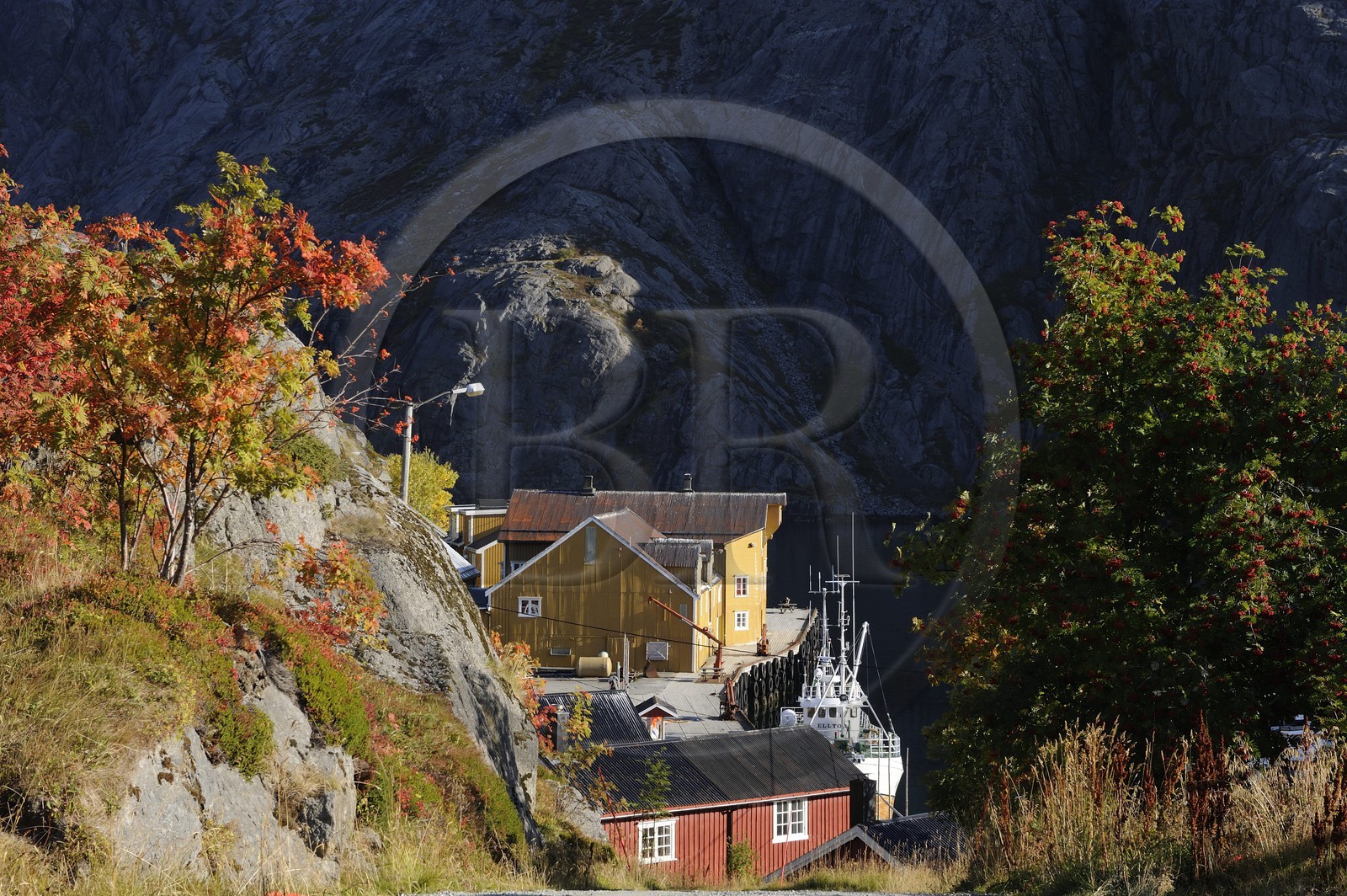 Norvège, Nordland, Iles Lofoten, Ile de Flakstadoy, le port du village restauré de Nussfjord