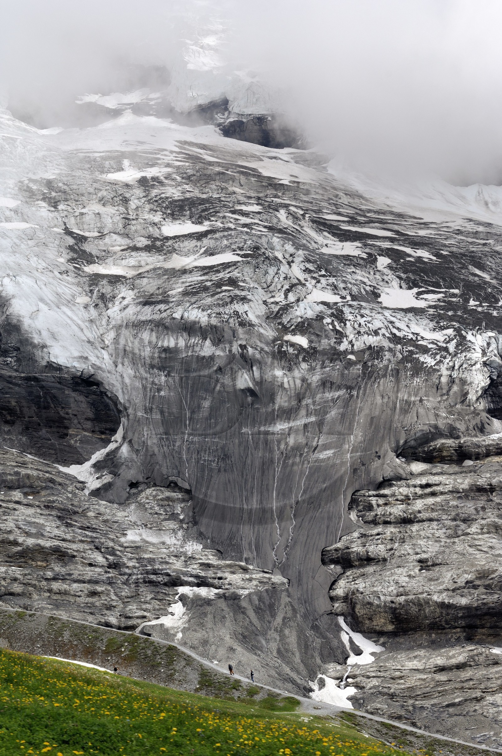 Suisse, Canton de Berne, Oberland bernois, massif de la Jungfrau (3 454 m) dit le toit de l' Europe, classé Patrimoine Mondial de l' UNESCO, randonneurs