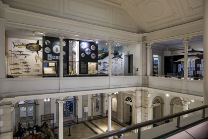 Portugal, Lisbonne, Musée national d'histoire naturelle et des sciences (Museu Nacional de Historia Natural e da Ciencia)