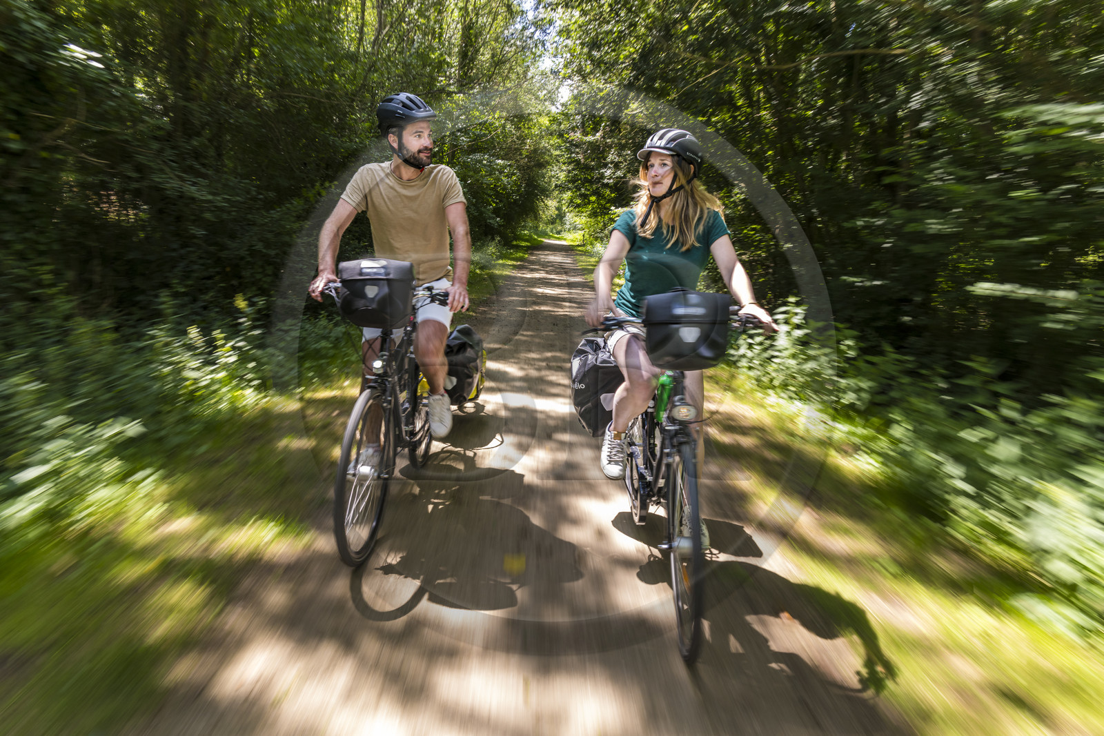 France, Deux-Sèvres (79), le Marais Poitevin, la Venise Verte, Sansais, bicycle journey on the Vélo Francette cycle path, bike with a trailer carrying camping equipment