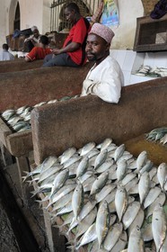 Tanzanie, Zanzibar, Stown Town, le marché de Darajani, marché au poissons