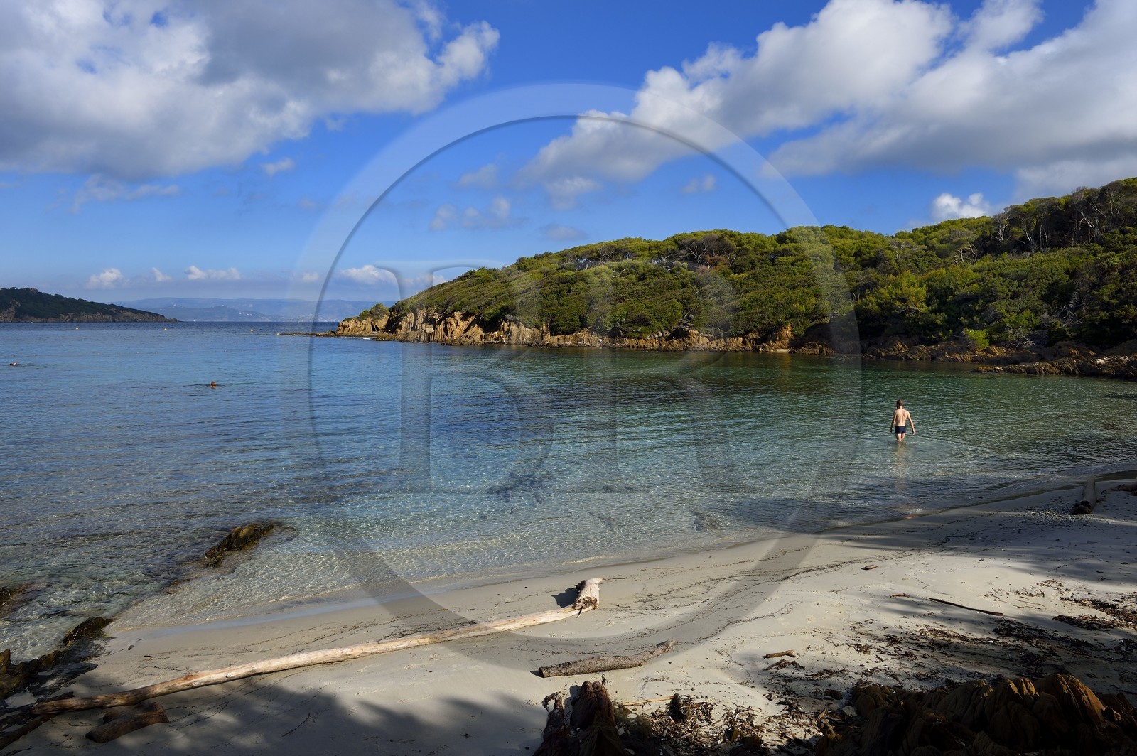 France, Var (83), Iles d'Hyères, parc national de Port Cros, Ile de Port-Cros, plage du Sud