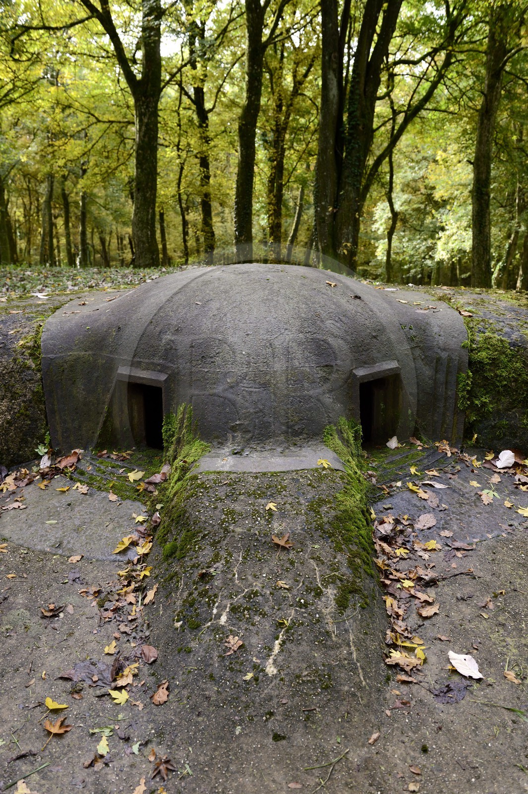 France, Meuse (55), région de Douaumont, bataille de Verdun, le Fort de Souville, la casemate Pamard