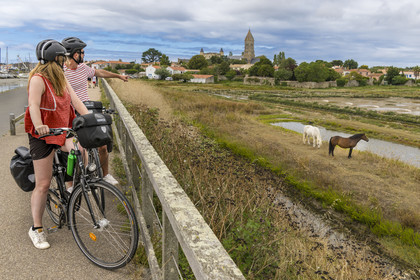 France, Vendée (85), île de Noirmoutier, Noirmoutier-en-l'Ile, les marais du Müllembourg, le château et l'église Saint-Philbert
