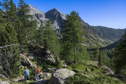 France, Alpes-Maritimes, Parc National du Mercantour (Mercantour national park), Haute Vesubie, Saint Martin Vesubie, Val du Haut Boréon, hikers descending the valley from the Cougourde refuge
