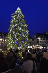 France, Bas Rhin, Strasbourg, old town listed as World Heritage by UNESCO, the big Christmas tree in place Kléber