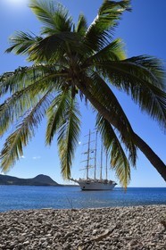 Caraïbes, Ile de la Dominique, Portsmouth, le Star Flyer de la compagnie Star Clipper dans la baie de Prince Rupert