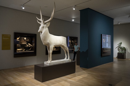 France, Côte-d'Or (21), Dijon, zone classée Patrimoine Mondial de l'UNESCO, Musée des Beaux-Arts dans l'ancien palais des ducs de Bourgogne,  nouvel espace dédié au sculpteur bourguignon François Pompon (1855-1933)