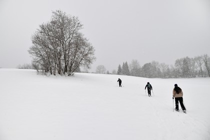 France, Haute Savoie, Araches la Frasse, Les Carroz d'Araches ski resort, snowshoeing