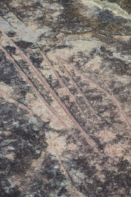 France, Guyane, Kourou, Iles du Salut, Ile Royale, polissoirs amérindiens de la période précolombienne