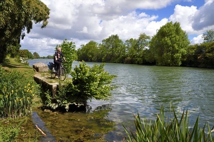 France, Charente-Maritime (17), Saintonge, Port-d'Envaux, cycliste faisant la véloroute La Flow Vélo le long de la Charente