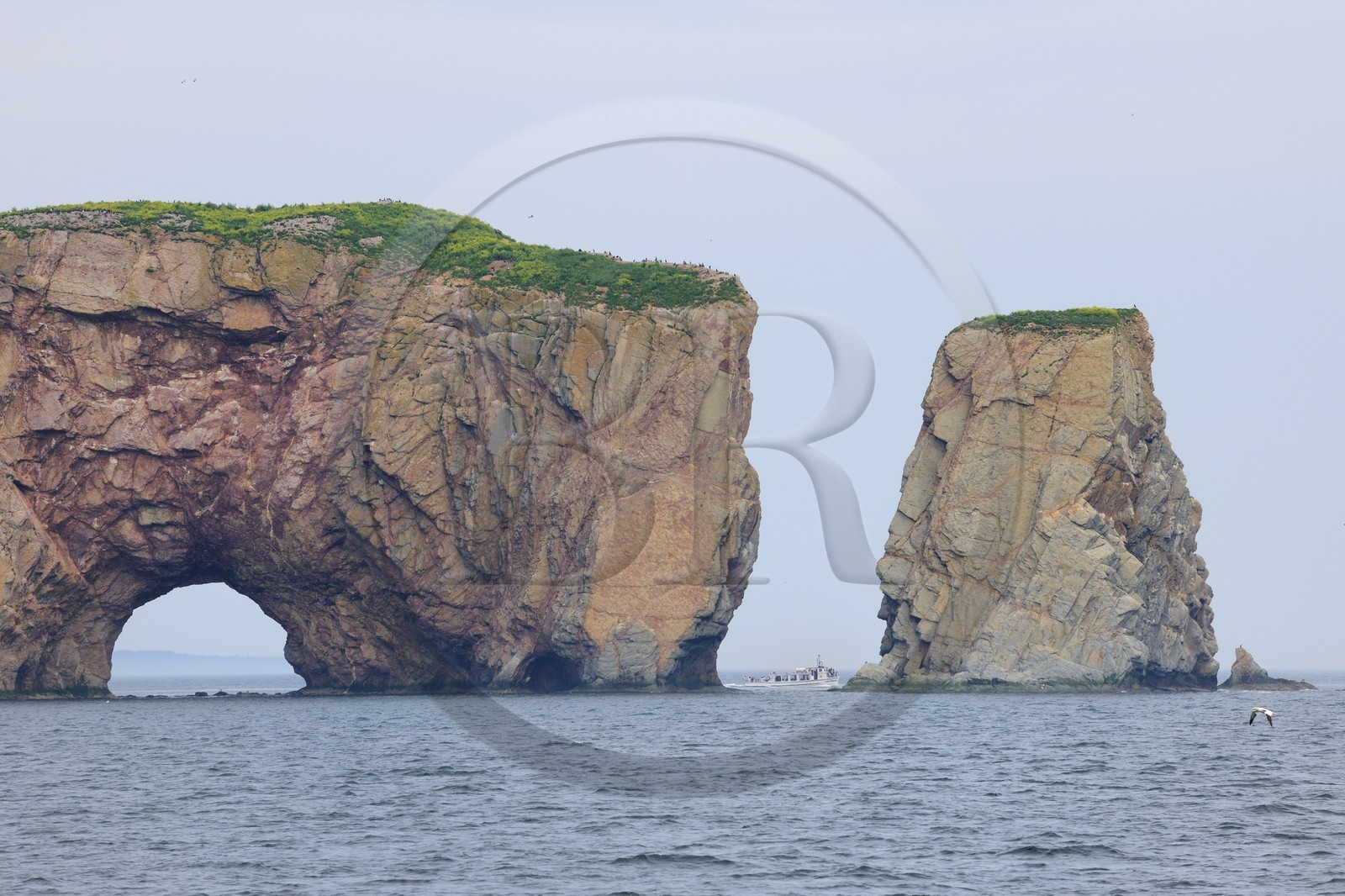 Canada, province de Québec, Gaspésie, le Rocher Percé