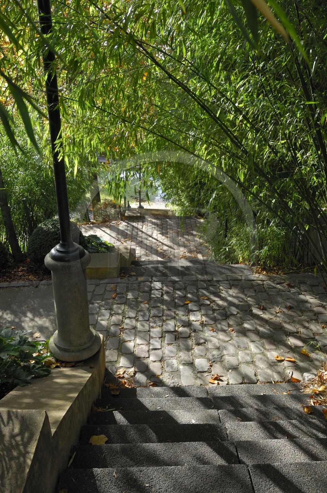 France, Paris (75), le Parc de Belleville