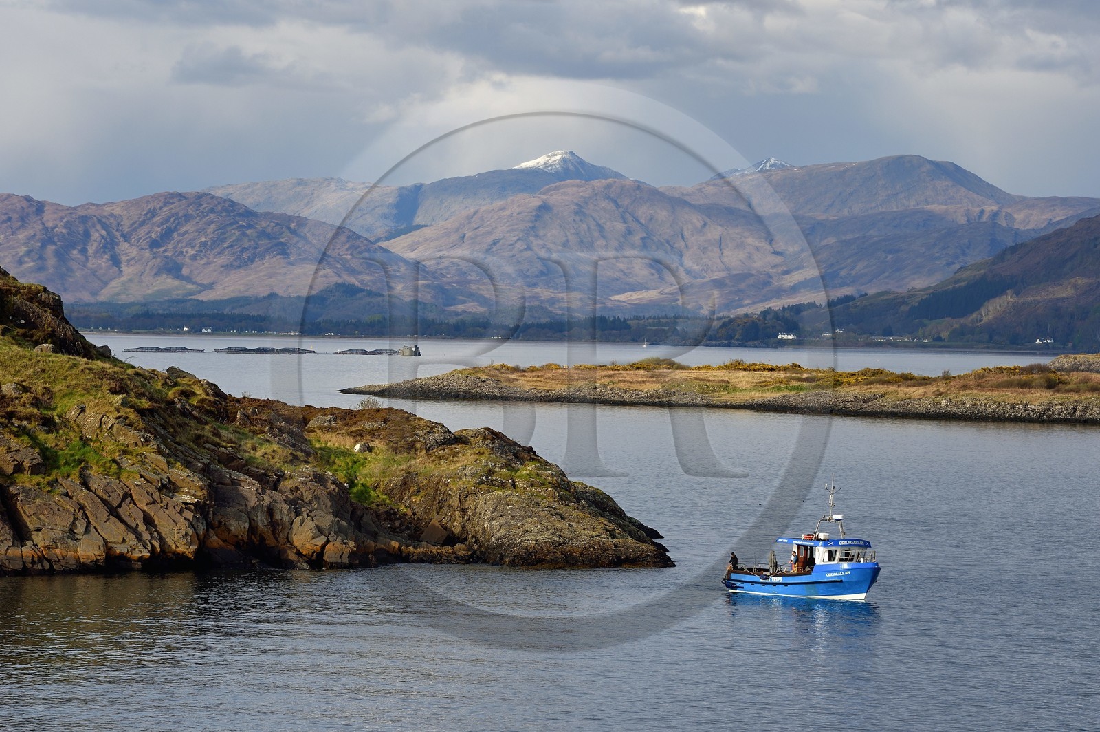 Royaume-Uni, Ecosse, Highland, Argyll and Bute, Oban, pecheurs dans les ilots du Loch Linnhe à l'Est de l'Ile de Mull