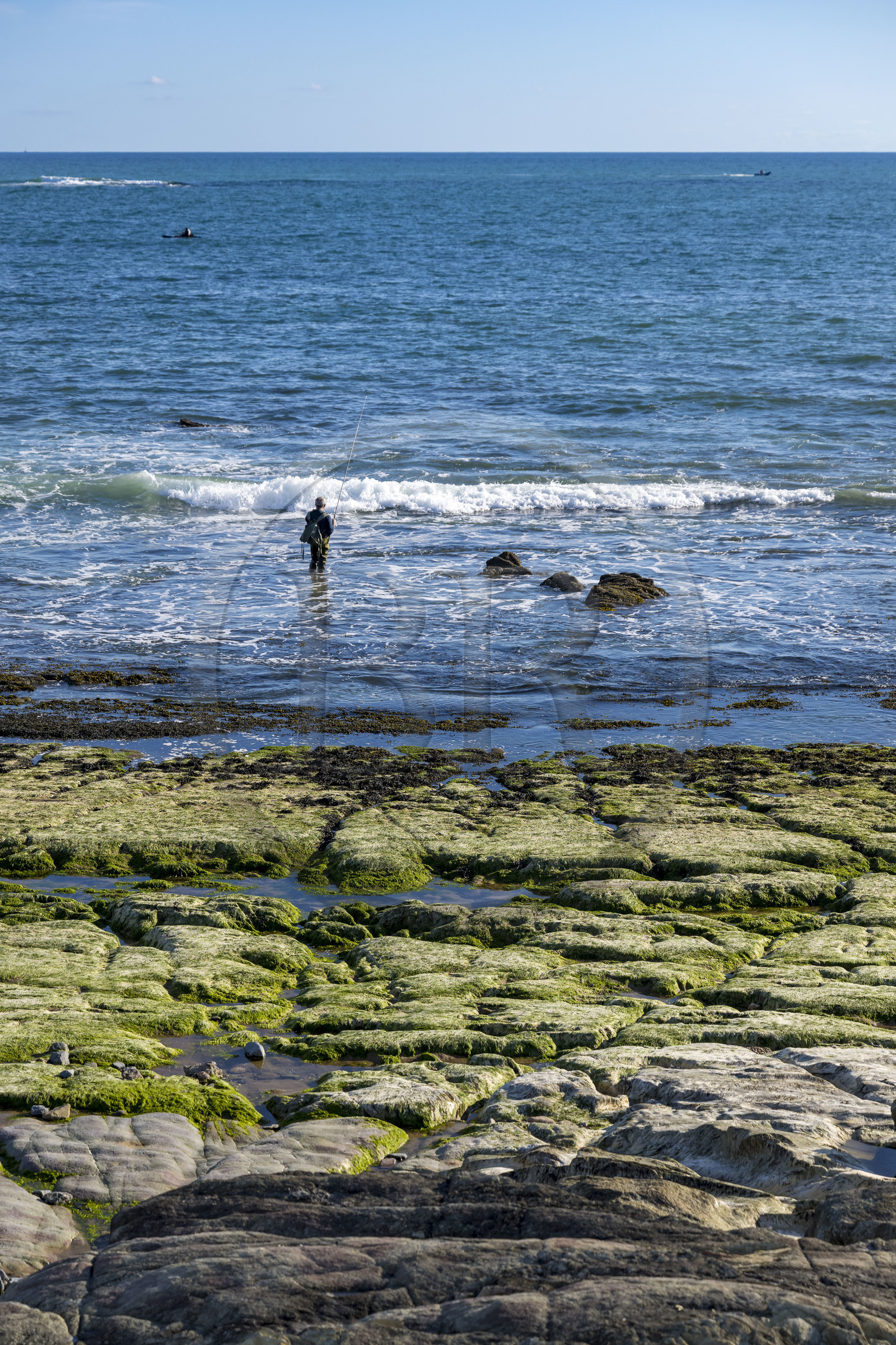 France, Vendée (85), Bretignolles-sur-Mer, pêcheur le long du littoral
