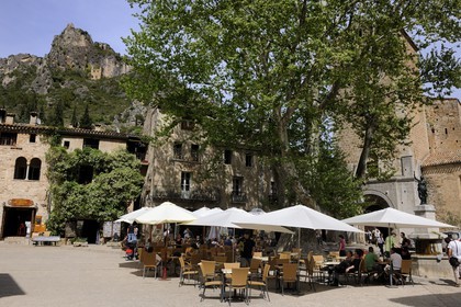 France, Hérault (34), village médiéval de Saint-Guilhem-le-Désert, labellisé Les Plus Beaux Villages de France, la place du village (place de la Liberté) et son platane centenaire