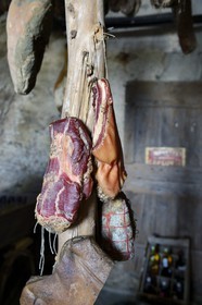 France, Haute-Corse (2B), région de la Casinca en Castagniccia, village de Penta di Casinca, charcuterie dans une cave