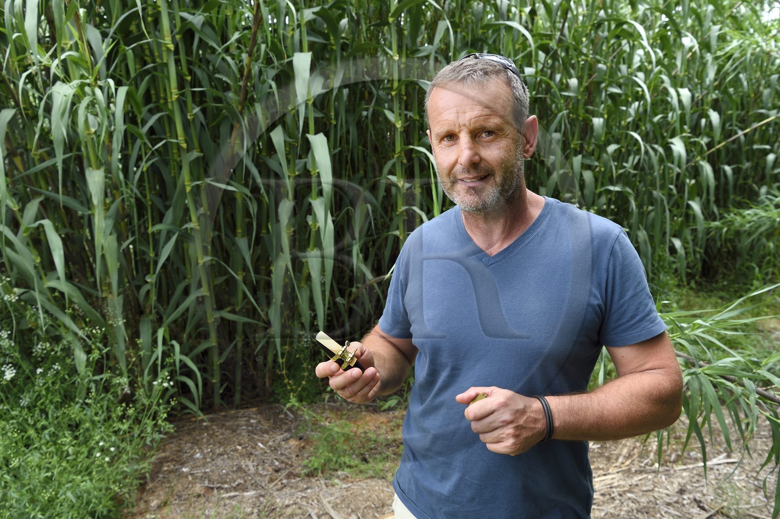 France, Var (83), Presqu'Ile de Saint-Tropez, Cogolin, Daniel Rigotti, fabricant de anches pour saxophones, clarinettes ou encore hautbois