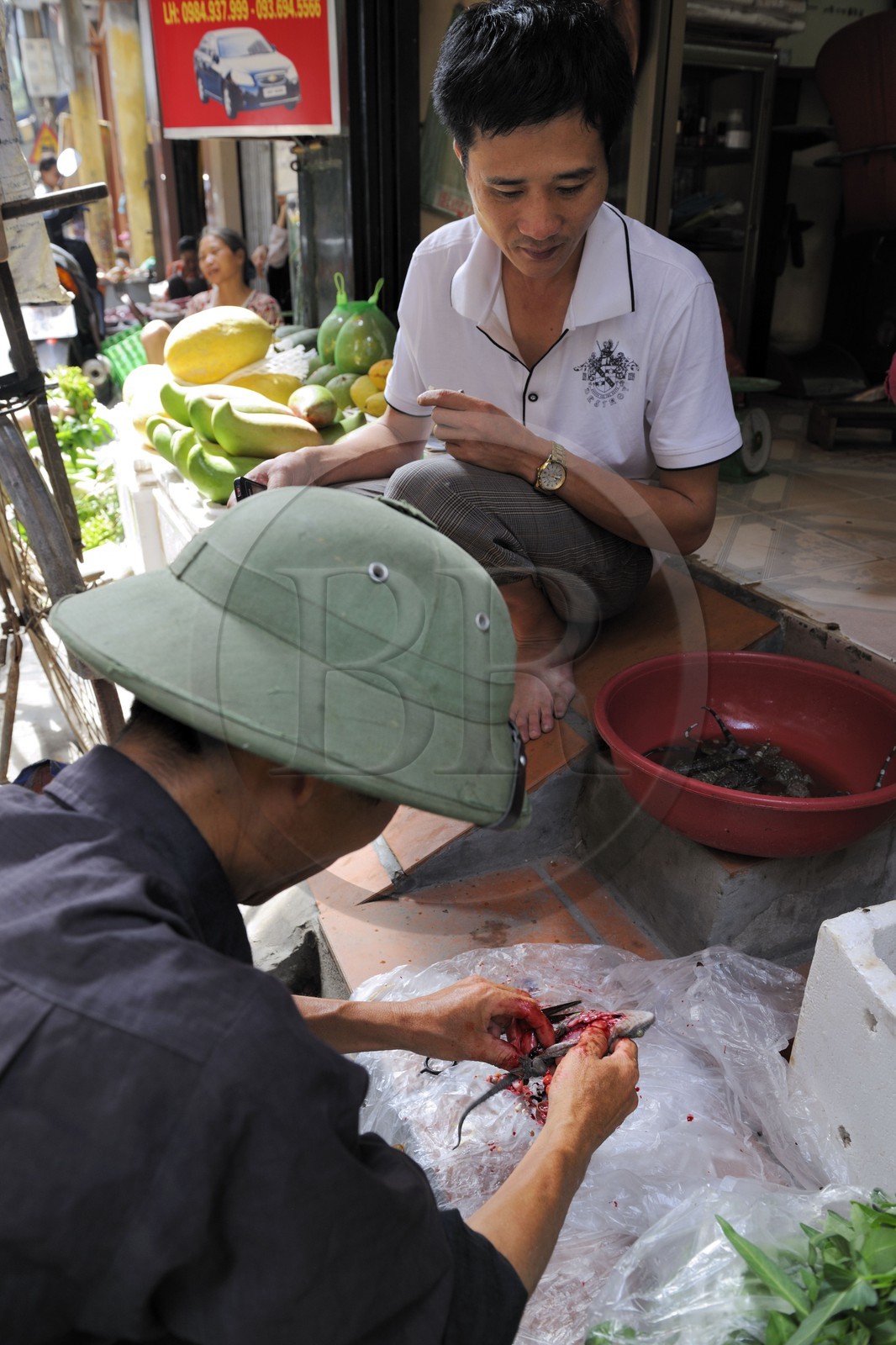 Vietnam, Hanoï, quartier Le Duan dans la vieille ville, découpe de lézards vivants