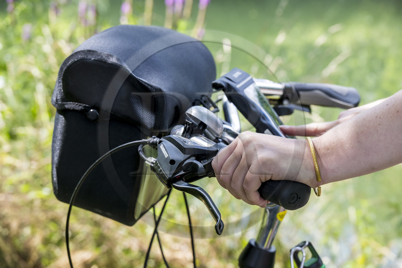 France, Deux-Sèvres (79), le Marais Poitevin, la Venise Verte, bicyclette concue pour la randonnée (détail)