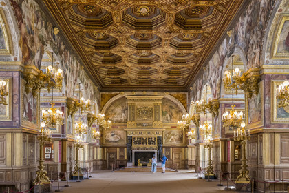 France, Seine-et-Marne (77), Fontainebleau, chateau de Fontainebleau, classé Patrimoine Mondial par l'UNESCO, la salle de bal avec un plafond à caissons décoré d'or et d'argent