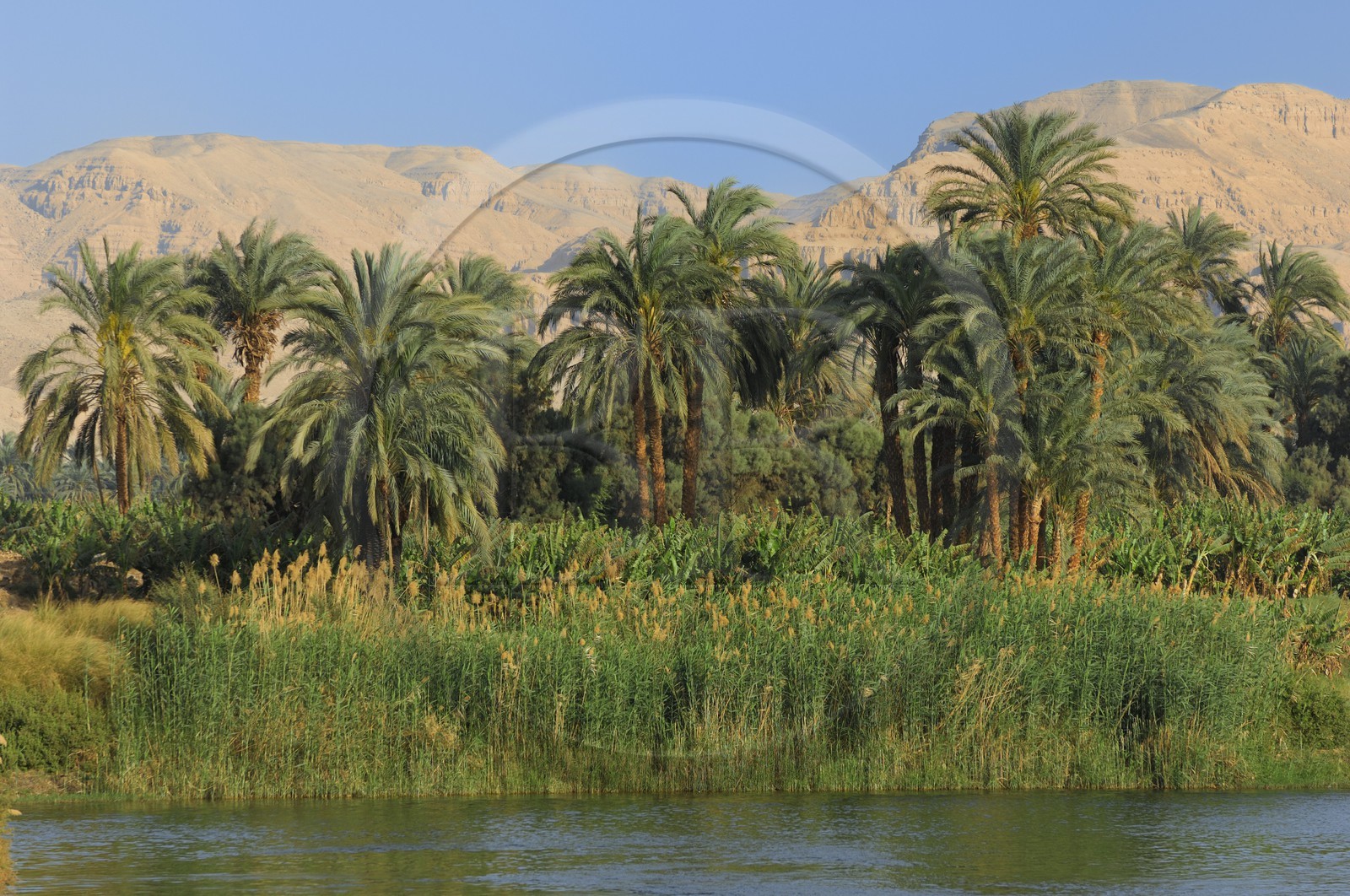 Egypt, Upper Egypt, Nile Valley, the Nile river between Luxor and Esna