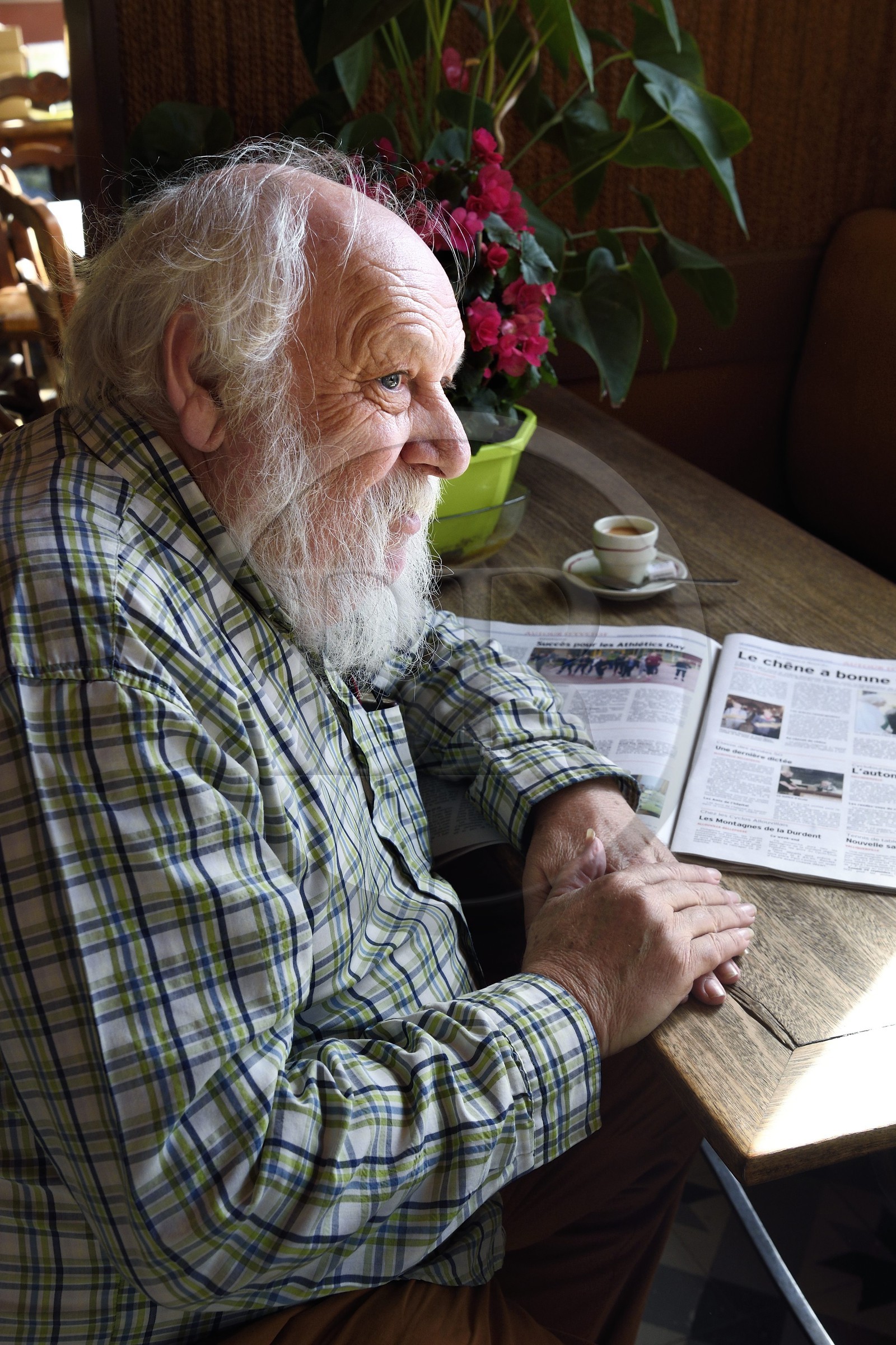France, Seine-Maritime, Pays de Caux, Allouville Bellefosse, Roger Devaux, historical correspondent of the courrier Cauchois who played in the film The Oak of Allouville