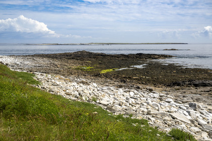 France, Finistère (29), Mer d'Iroise, Ile de Molène, site archéologique de Beg ar Loued abritant les vestiges d'une maison construite 2000 an avant notre ère