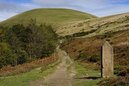 France, Pyrénées-Atlantiques (64), Pays-Basque, chemin de Saint-Jacques de Compostelle sur le GR 65 entre Saint-Jean-Pied-de-Port et Roncevaux vers le col de Bentarte, borne frontière entre Navarre en Espagne et Basse-Navarre en France