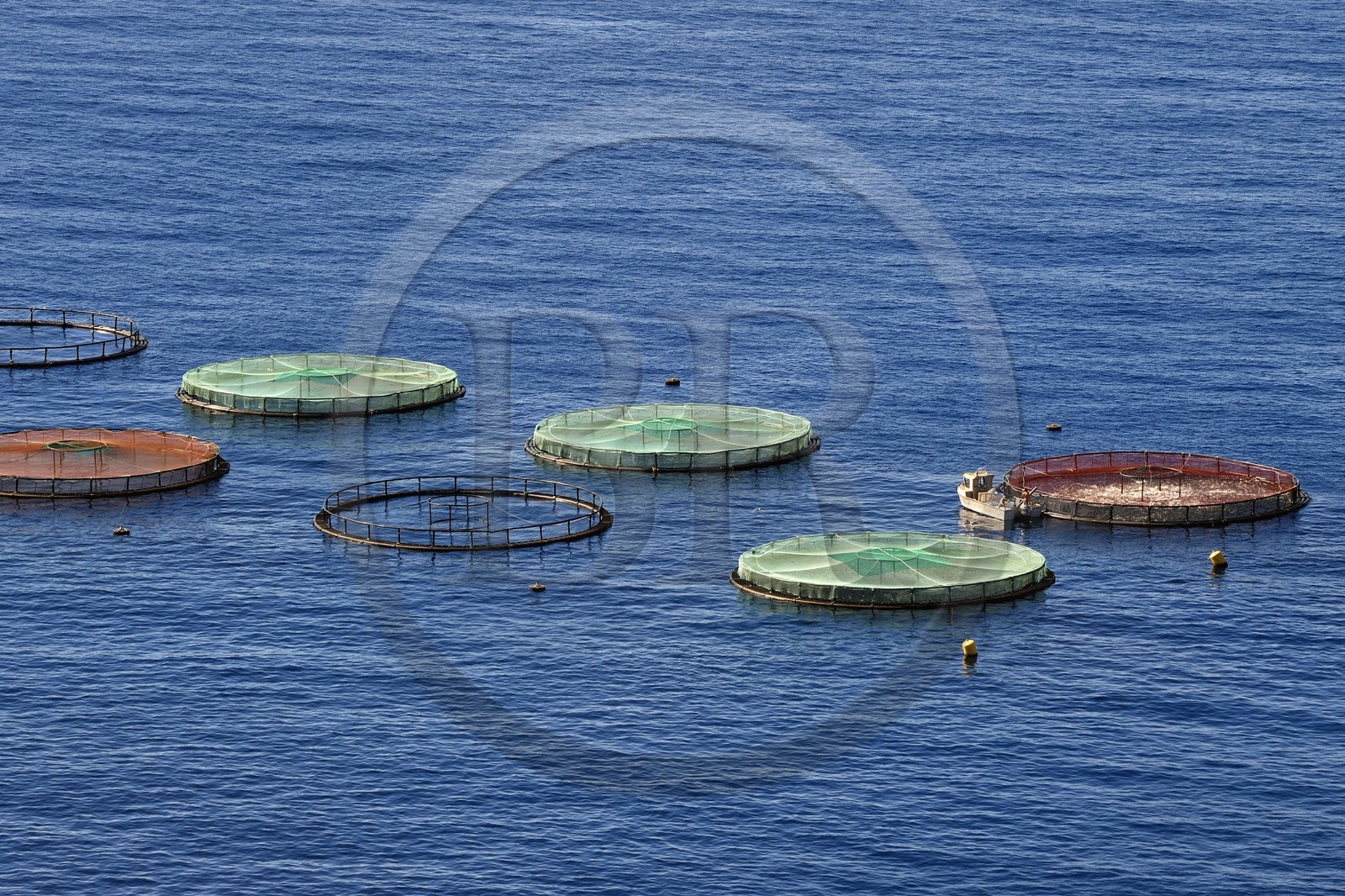 Portugal, Madeira Island, Ponta de Sao Lourenço nature reserve in the far east of the island, fish farming in Abra bay