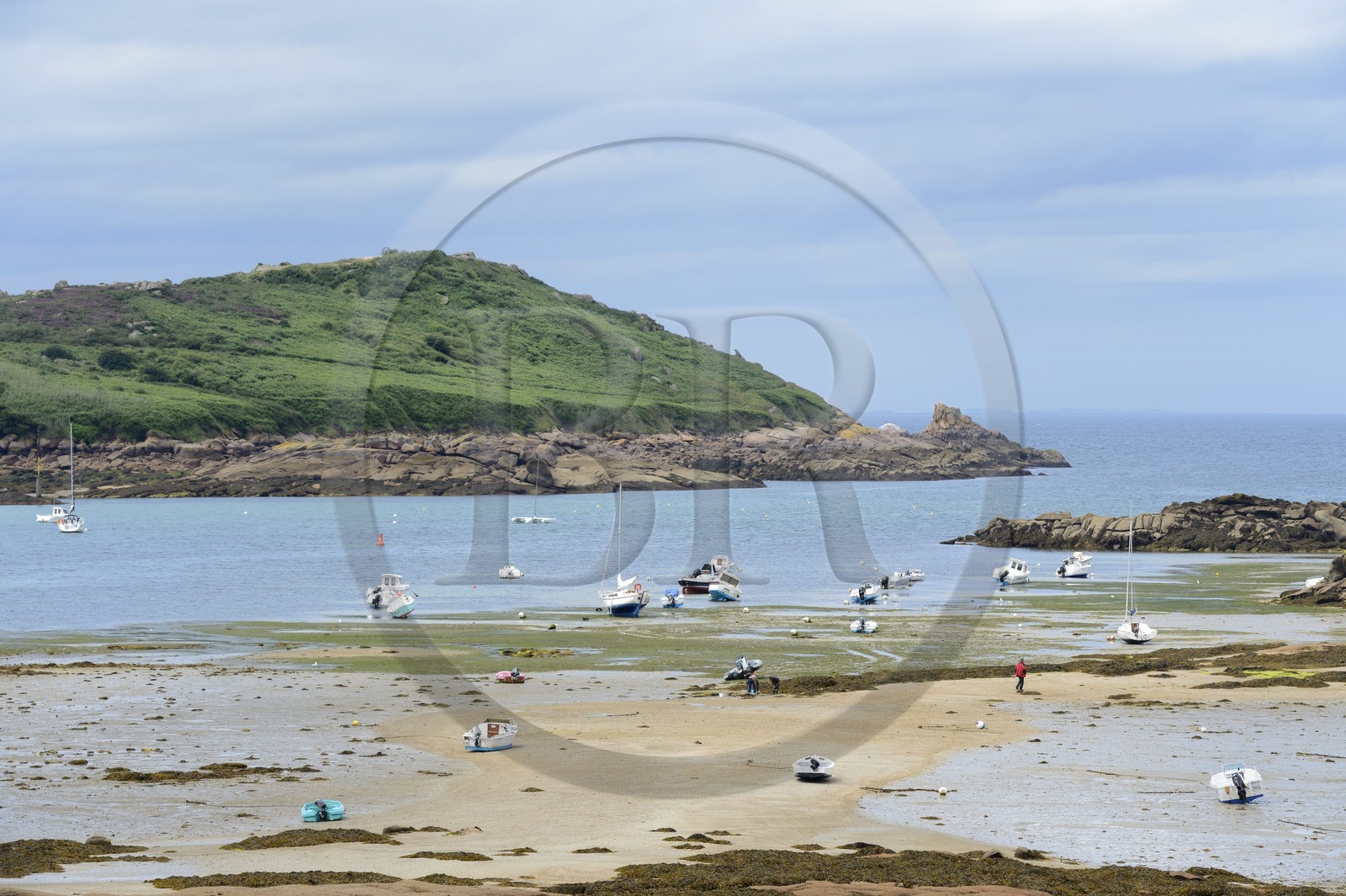 France, Côtes-d'Armor (22), Côte de Granit Rose, plage de Trébeurden et l'île Milliau