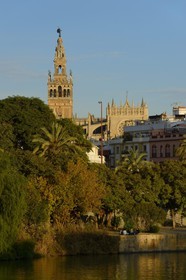 Espagne, Andalousie, Séville, en bordure du fleuve Guadalquivir, La Giralda