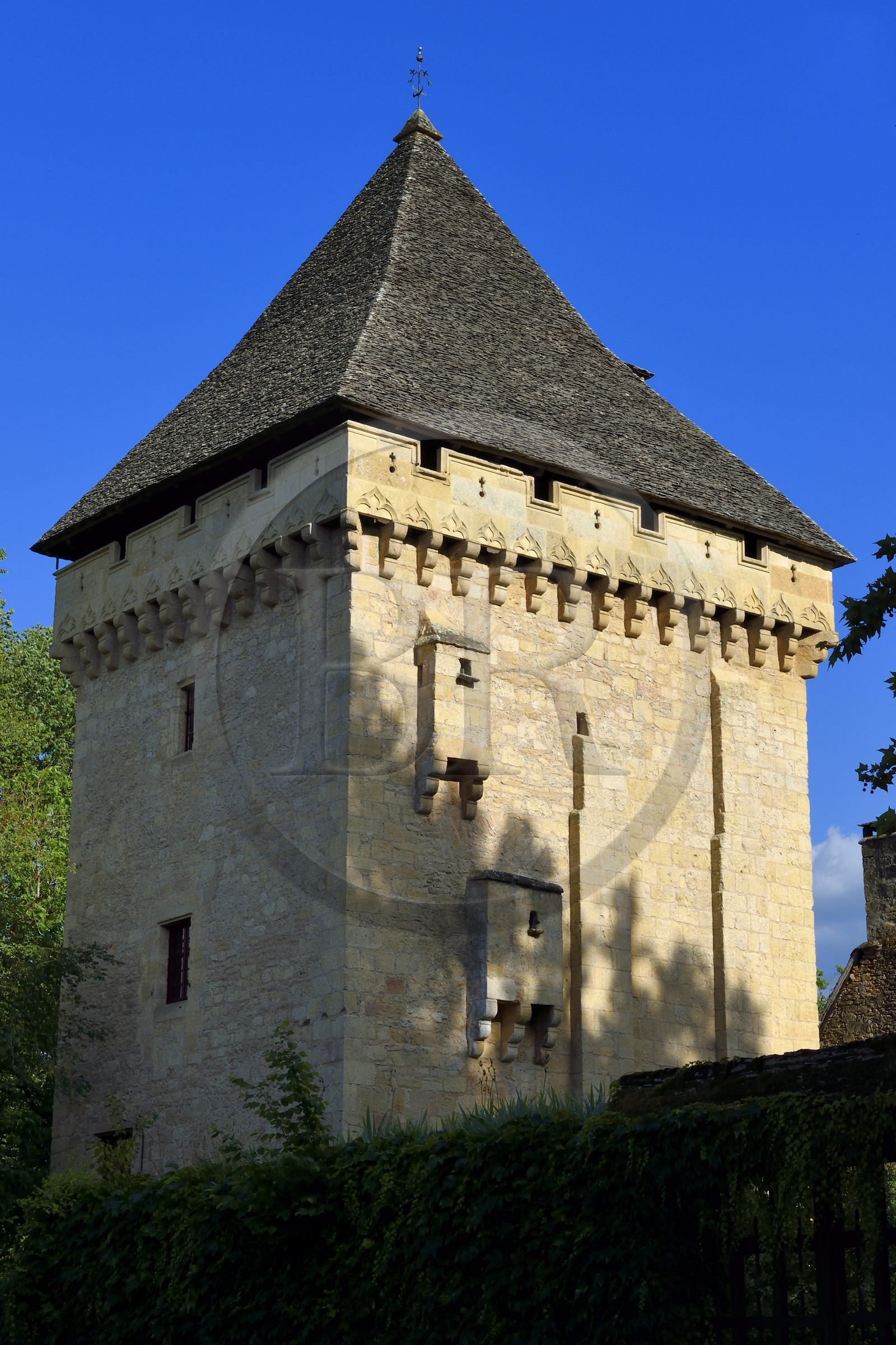 France, Dordogne (24), Périgord Noir, vallée de la Vézère, Saint-Léon-sur-Vézère, labellisé Les Plus Beaux Villages de France, le donjon du manoir de la Salle