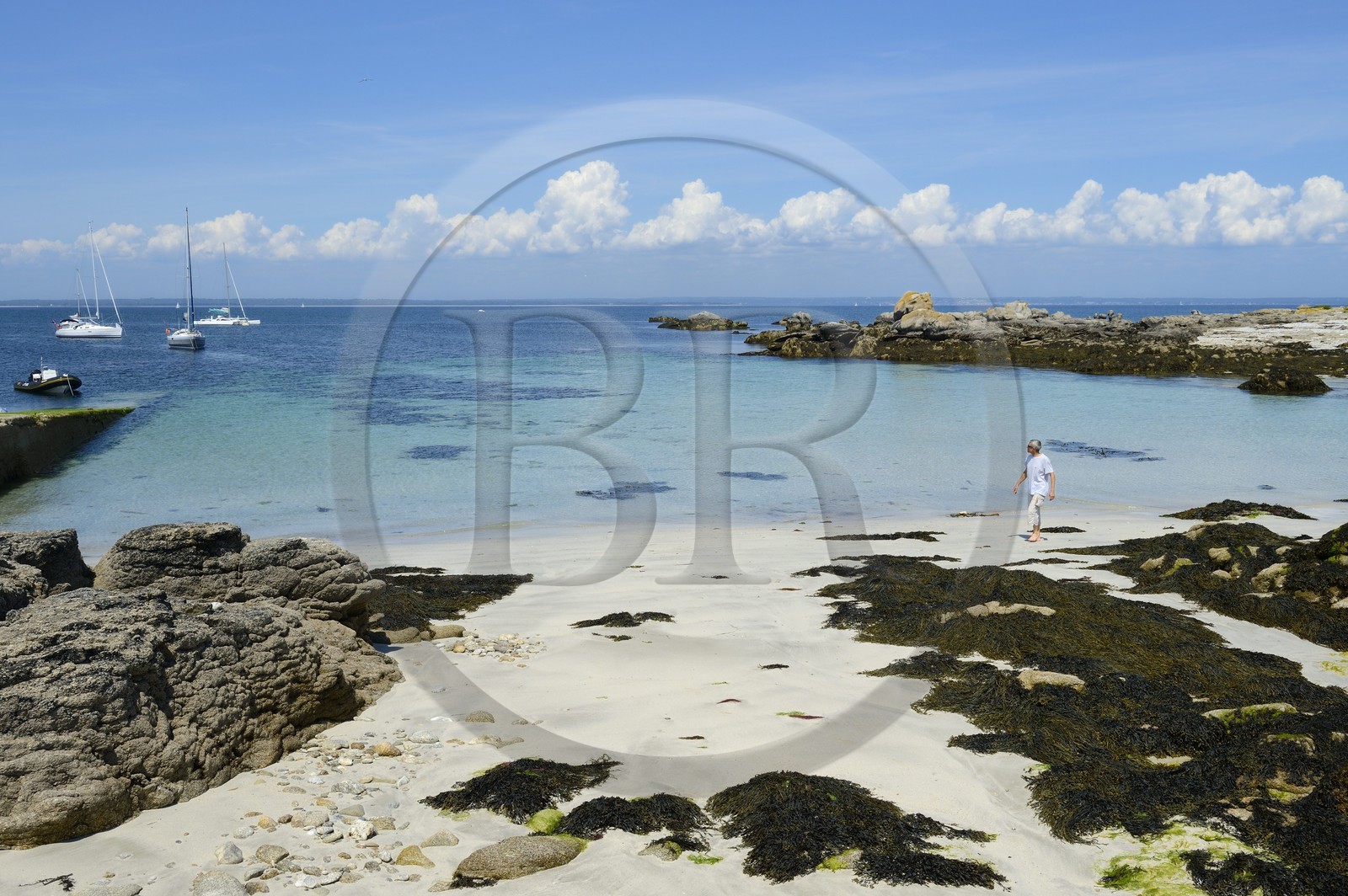 France, Finistère (29), La Foret Fouesnant, archipel des Glénan, Ile aux Moutons