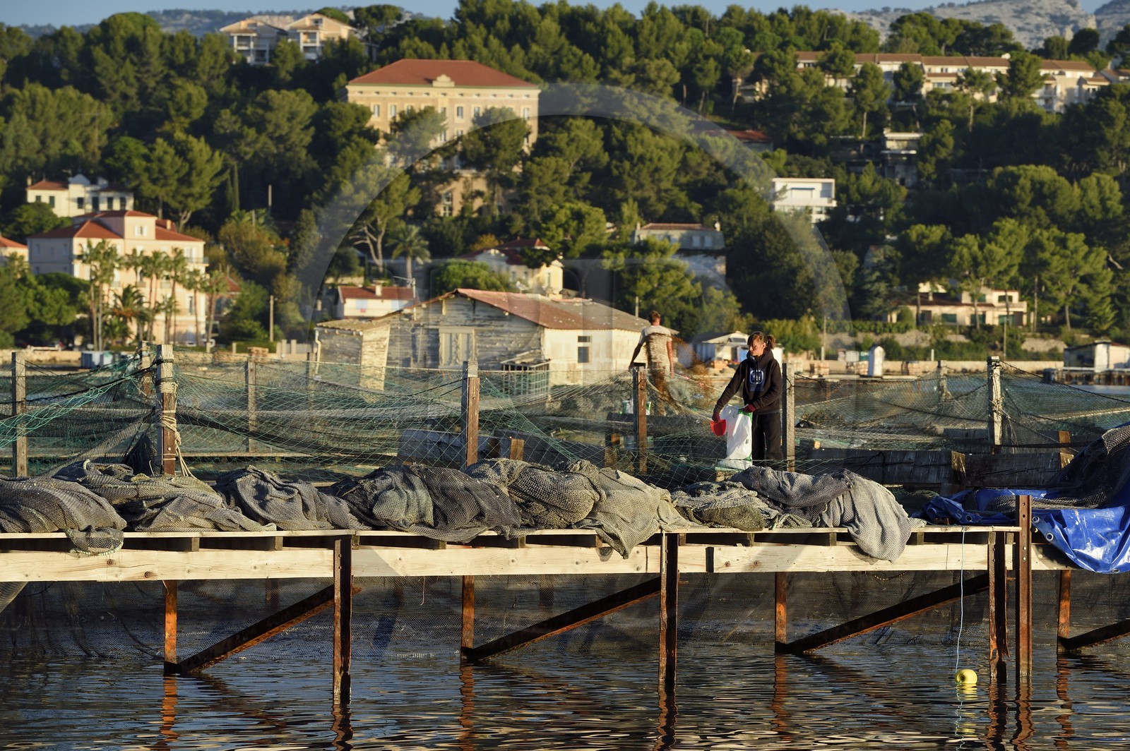 France, Var (83), la rade de Toulon, La Seyne-sur-Mer, parc à moules et huitres, ferme d'aquaculture