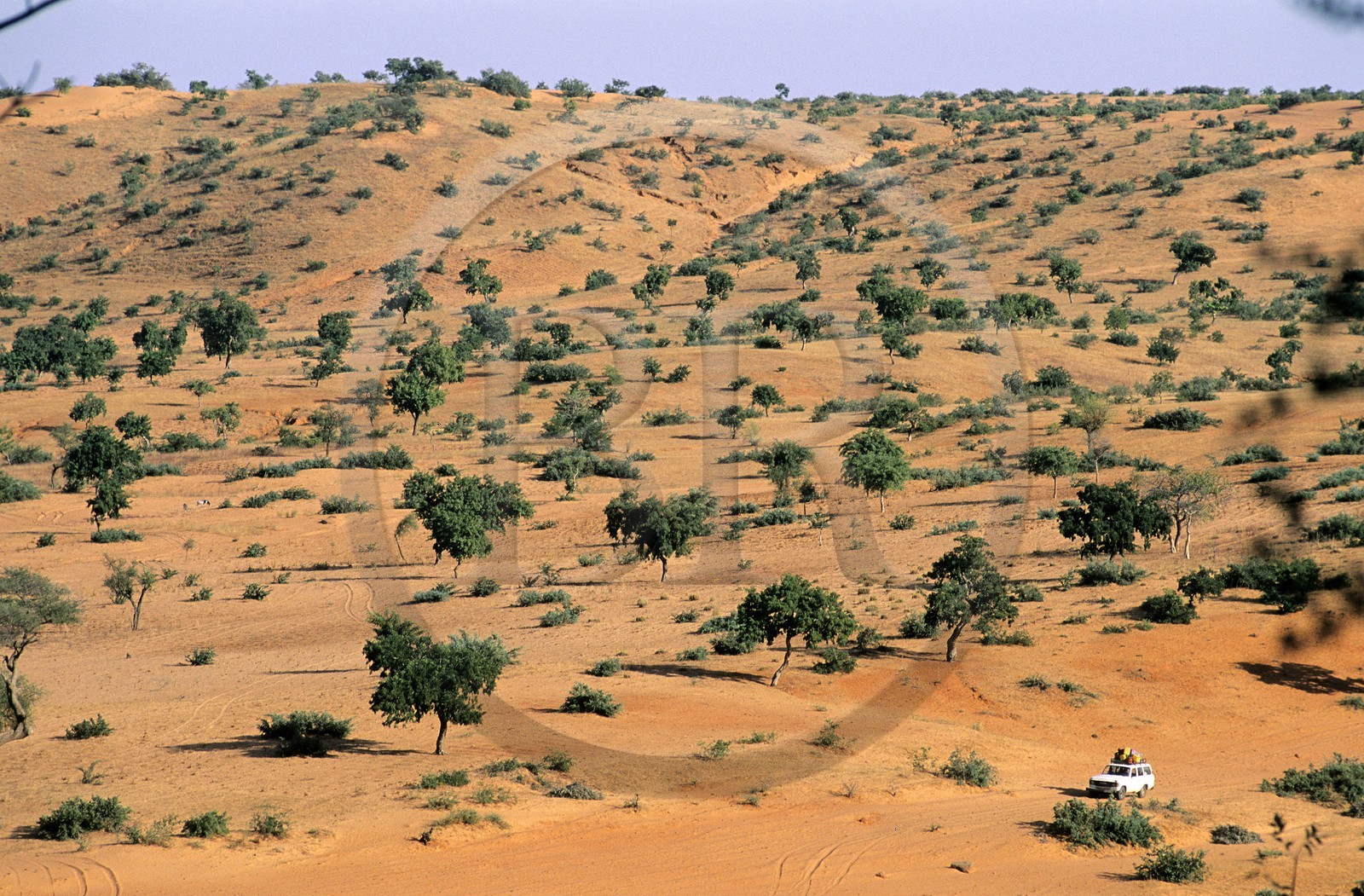 Mali, Dogon Country, Nombori, the sandy plain at feet of the Bandiagara cliff, listed as World Heritage by UNESCO