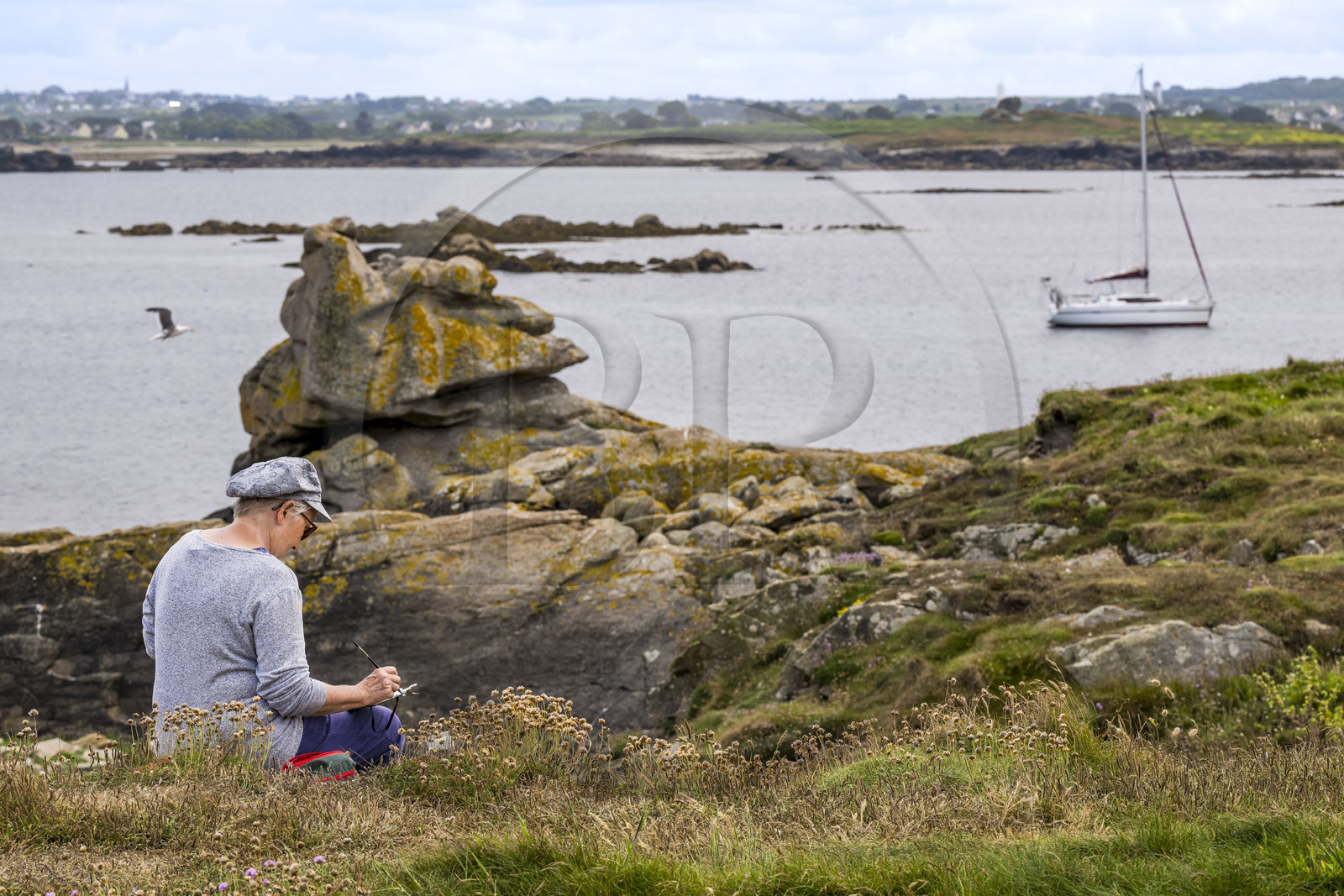 France, Finistère, Abers Country (Pays des Abers), Ile Vierge (Virgin Island) in the Lilia archipelago, painter