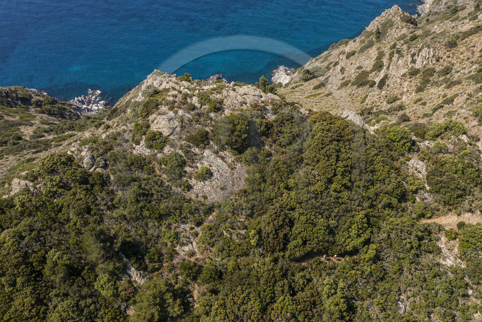 France, Var (83), Six-Fours-les-Plages, randonnée dans le massif du Cap Sicié, randonneurs sur le sentier des cretes de Roumagnan (vue aérienne)