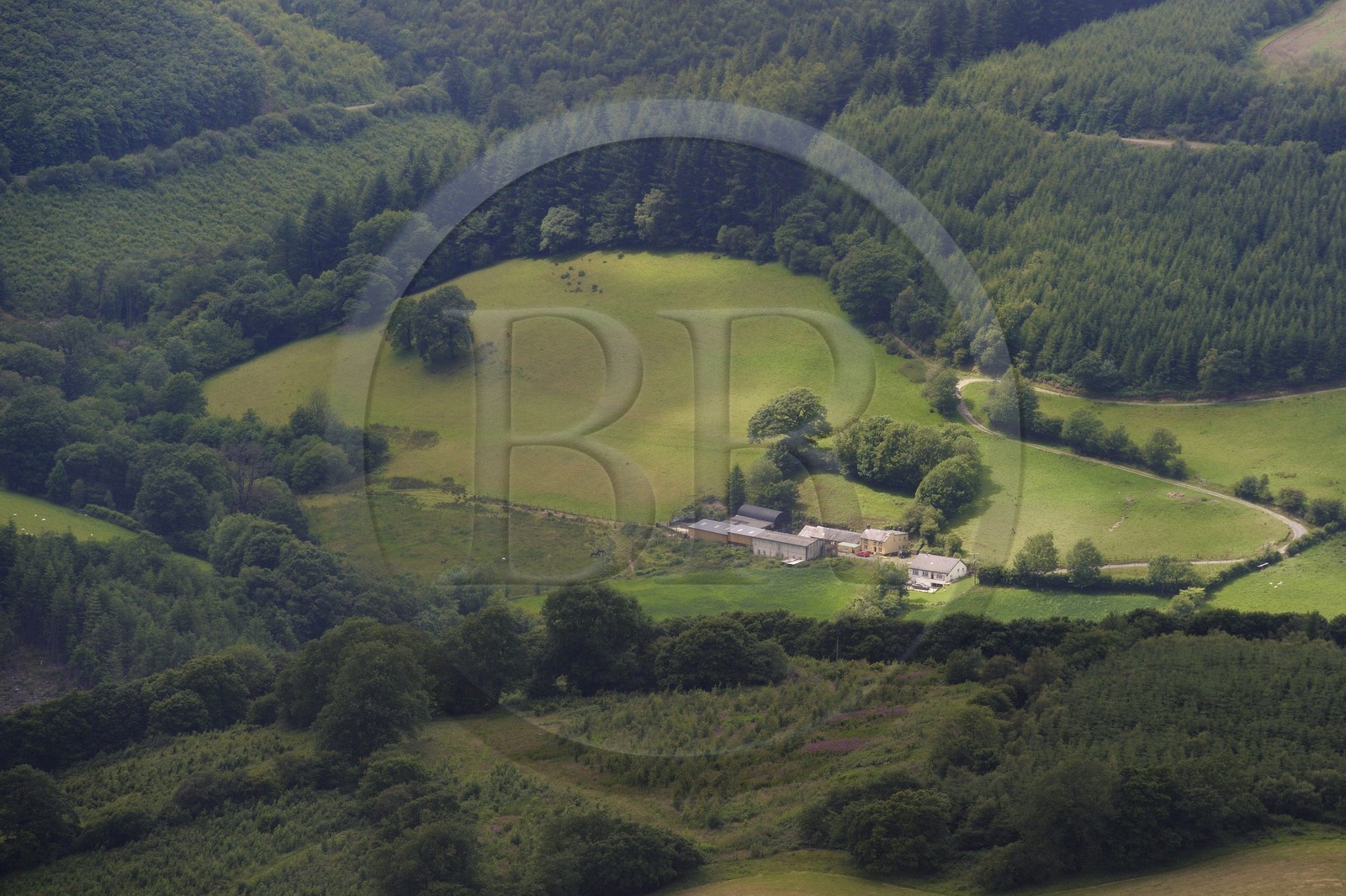 Royaume-Uni, Angleterre, Pays de Galles, forêt et champs dans la region de Brechfa dans le Carmarthenshire (vue aérienne)