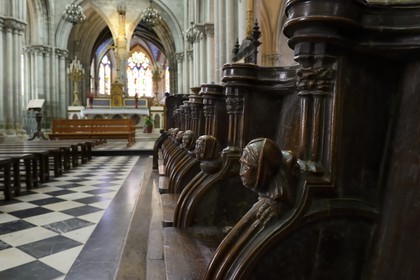 France, Ille-et-Vilaine (35), Baie du Mont-Saint-Michel, Dol-de-Bretagne, la cathédrale gothique Saint-Samson, de part et d'autre du chœur sont réparties 77 stalles datées du XIVème siècle sur deux rangs
