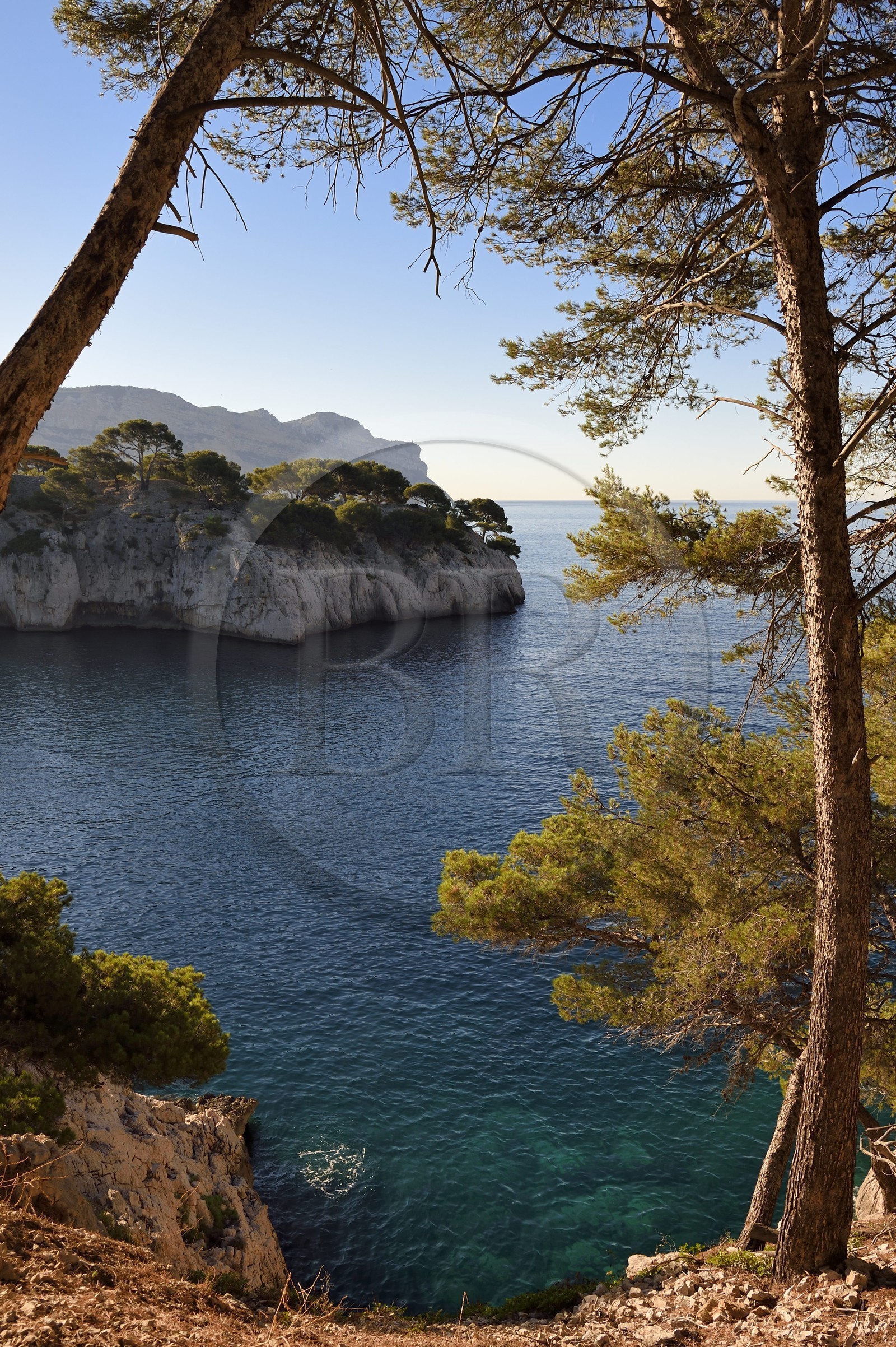 France, Bouches du Rhone, Cassis, National Park of the Calanques, Calanque de Port Miou (cove) (request for authorization necessary before publication)