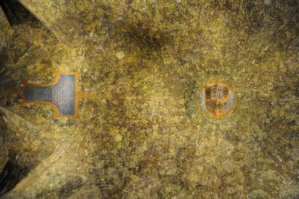 Italie, Lombardie, Milan, le Castello Sforzesco (château des Sforza), Léonard de Vinci a peint l’enchevêtrement de troncs d'arbres du plafond de la Sala delle Asse (1496-1497)