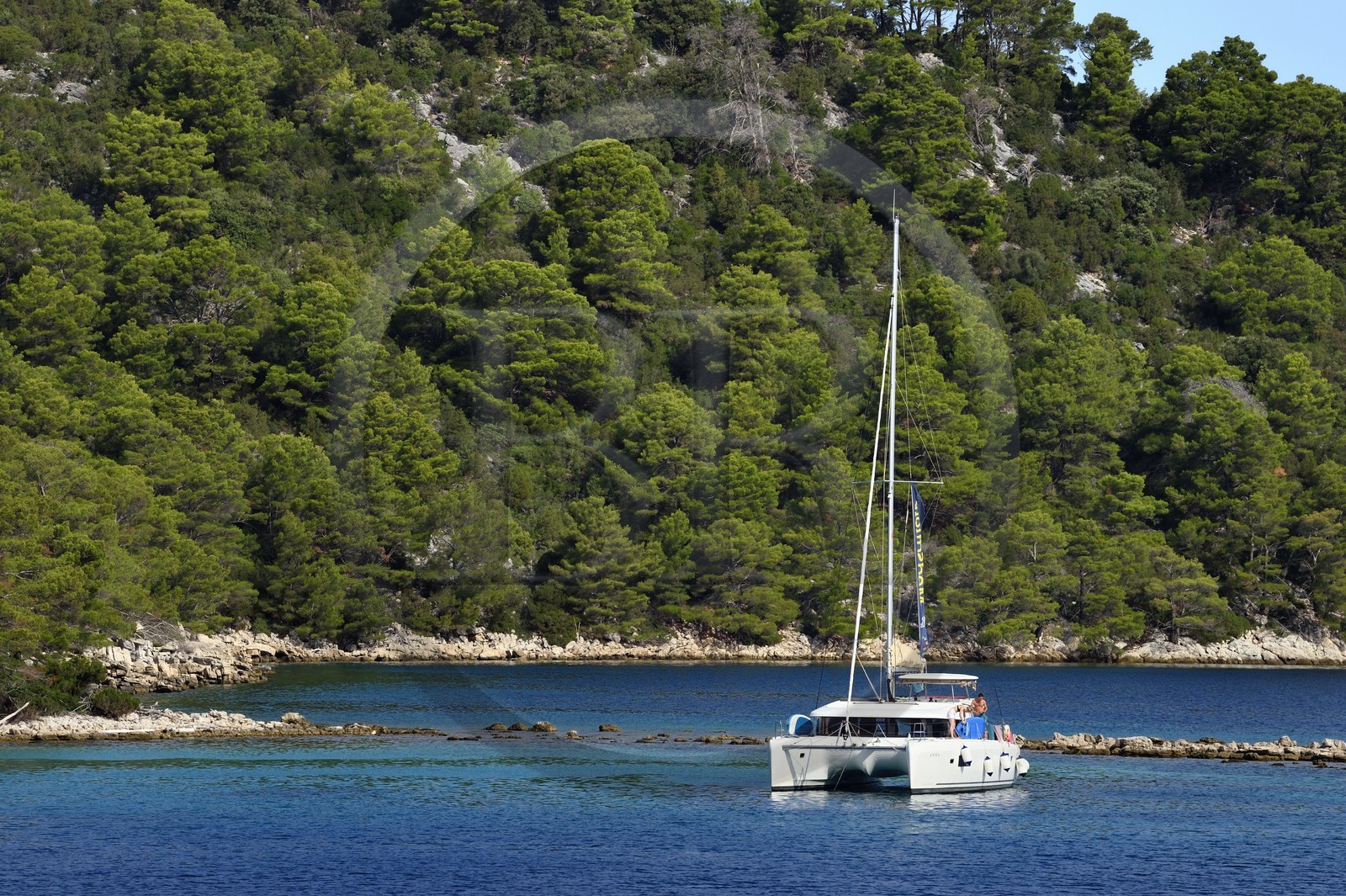 Croatie, Dalmatie, cote dalmate, Ile de Mljet, trimaran dans le Parc national de Mljet vers Polace