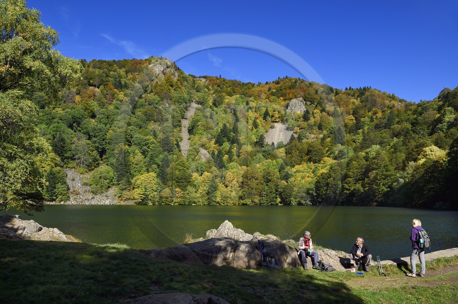 France, Haut-Rhin (68), Parc naturel régional des ballons des Vosges, Rimbach-près-Masevaux, randonneur marchant sur le GR 531 au Lac des Perches en dessous de Gazon Rouge dans les Vosges