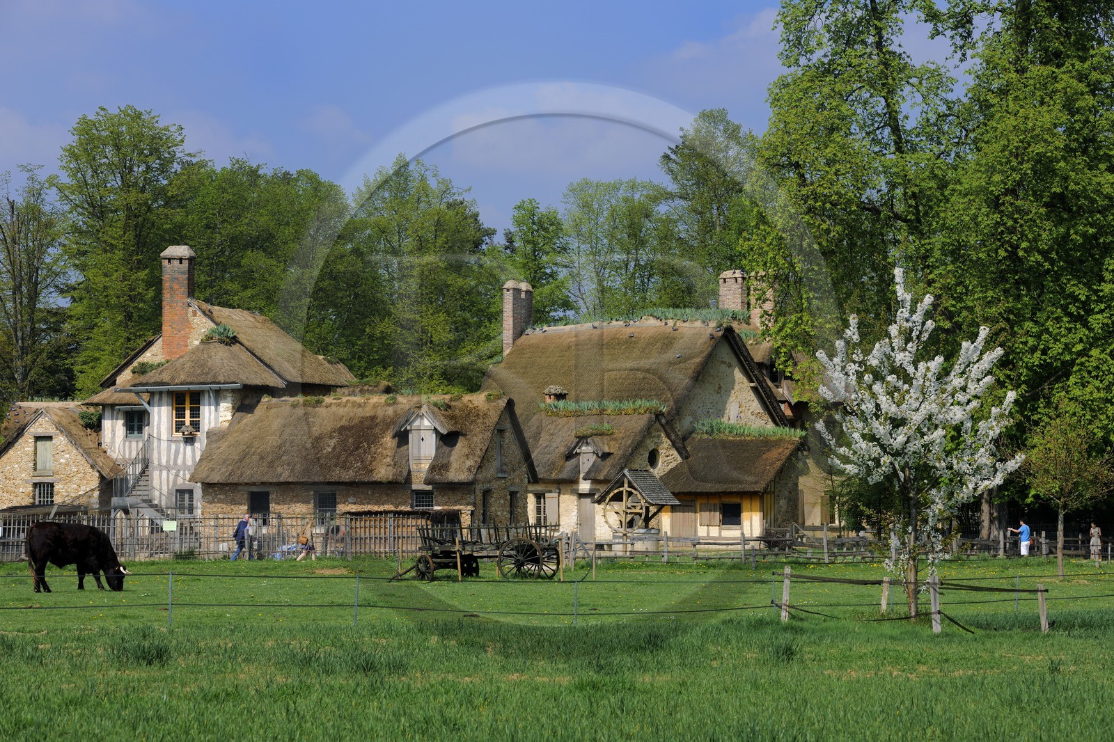 France, Yvelines (78), château de Versailles, classé Patrimoine Mondial de l'UNESCO, le domaine de Marie-Antoinette, le Hameau de la Reine, la ferme