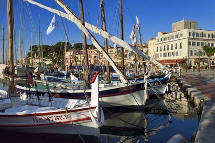 France, Var (83), Sanary-sur-Mer, barques traditionnelles de peche appelées pointus sur le port, l'Hotel de la Tour qui enroule la tour romane du XIIIème siècle en arrière plan, au premier plan Le Goéland, la seule barque lamparo de France