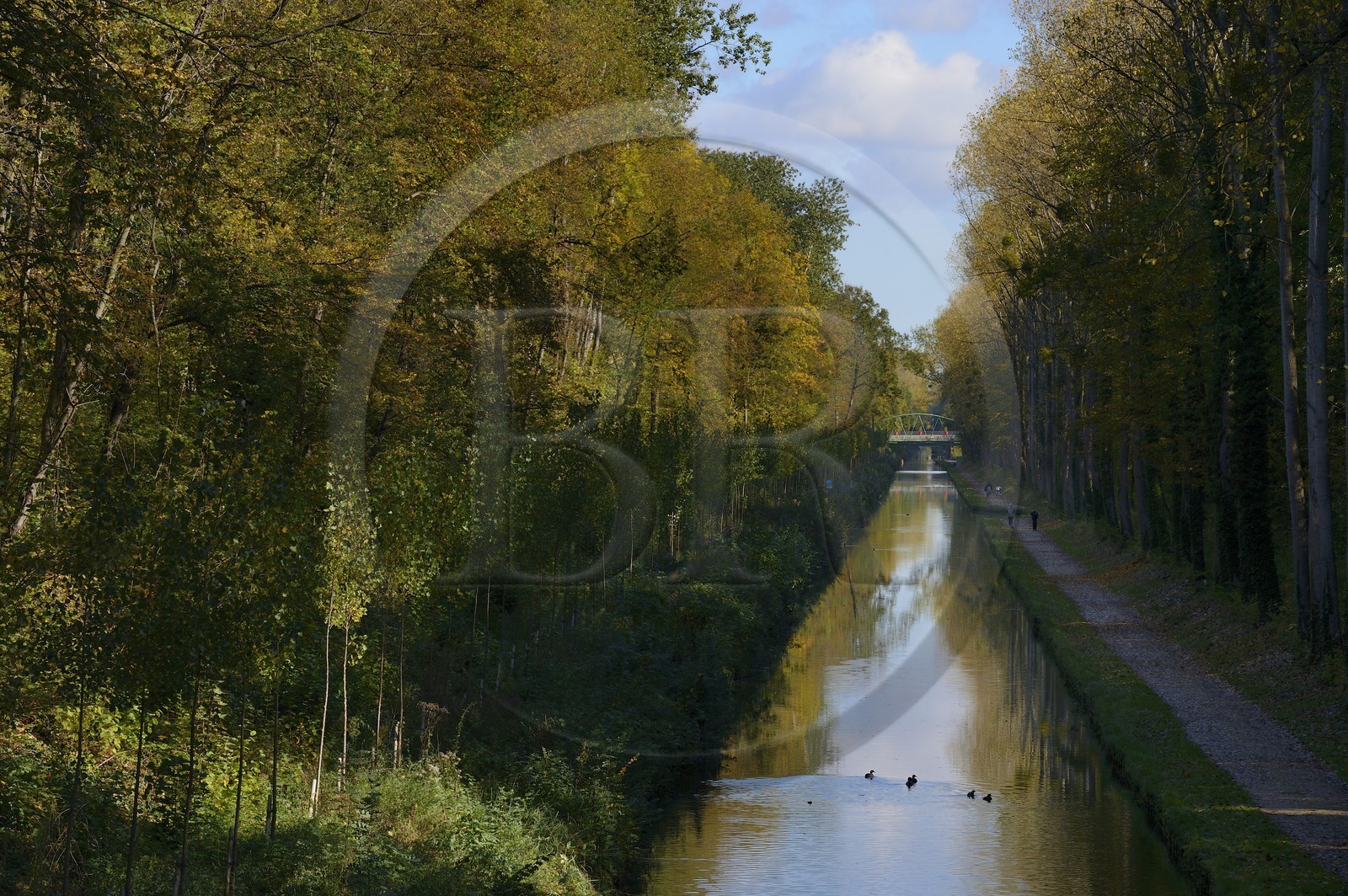 France, Seine-Saint-Denis (93), Sevran, le canal de l'Ourcq traverse le parc national forestier de la Poudrerie