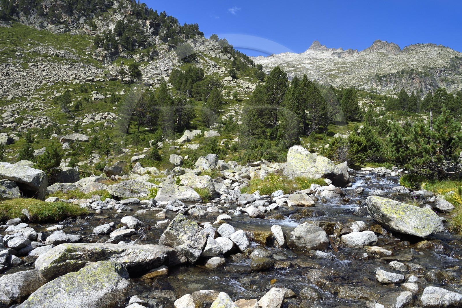 France, Hautes-Pyrénées (65), Saint-Lary-Soulan, Réserve naturelle nationale du Néouvielle, randonnée des lacs du Neouvielle, torrent au dessus des Laquettes