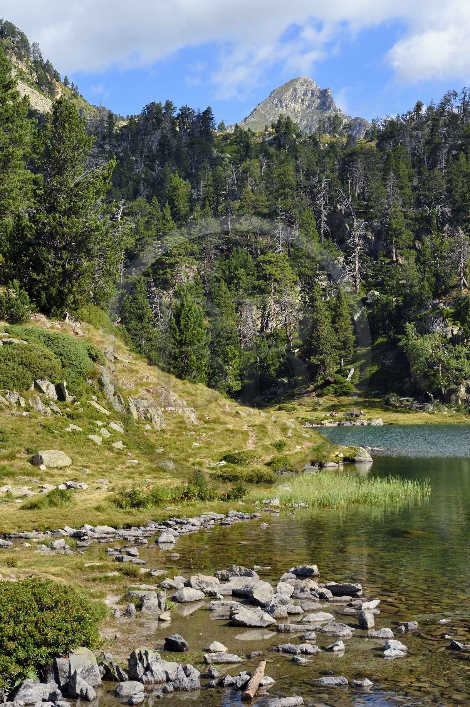 France, Hautes-Pyrénées (65), Saint-Lary-Soulan et Vielle-Aure, randonnée sur une variante du GR10 entre le col de Portet et les lacs de Bastan en bordure de la réserve naturelle de Néouvielle, lac de Bastan inférieur